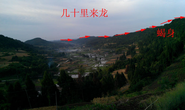 �ϳ�Ϊ�ͻ����߾�Ы������ˮ